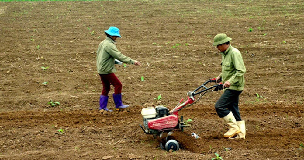 Kỹ thuật làm đất