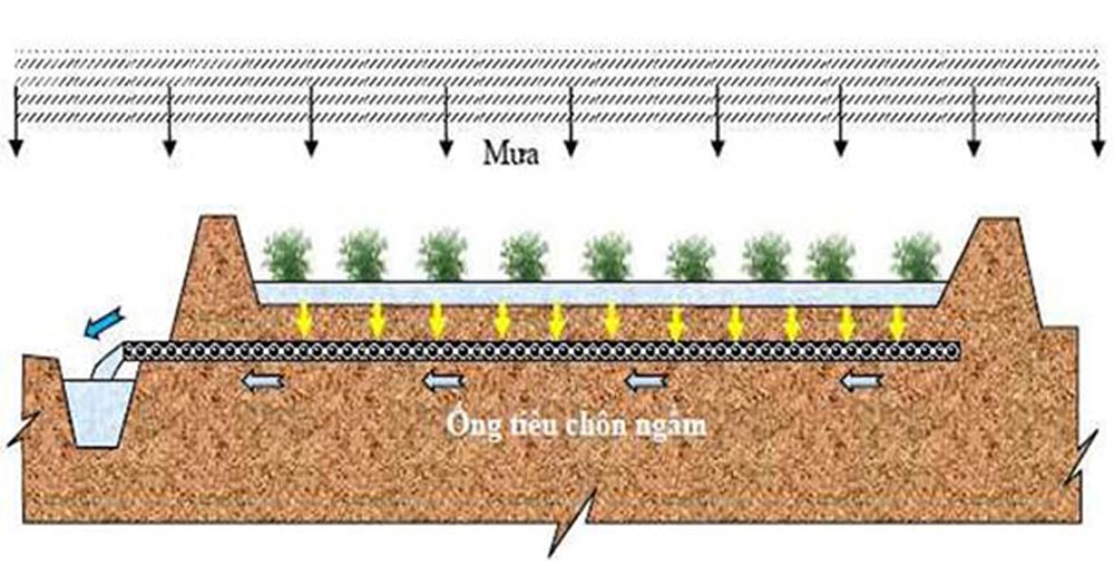 Hệ thống thoát nước ngầm