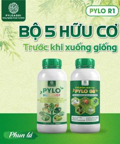 Sản phẩm phun lá trong bộ 5 hữu cơ trước khi xuống giống PyLo R1