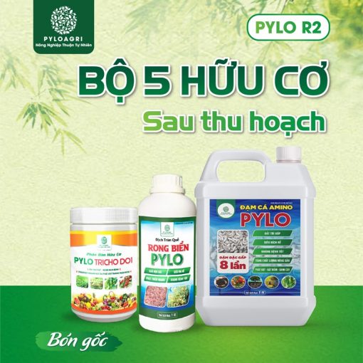 Sản phẩm bón gốc trong bộ 5 hữu cơ sau thu hoạch PyLo R2