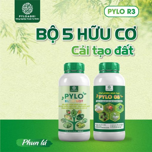 Sản Phẩm Phun Lá Trong Bộ 5 Hữu Cơ Cải Tạo Đất PyLo R3