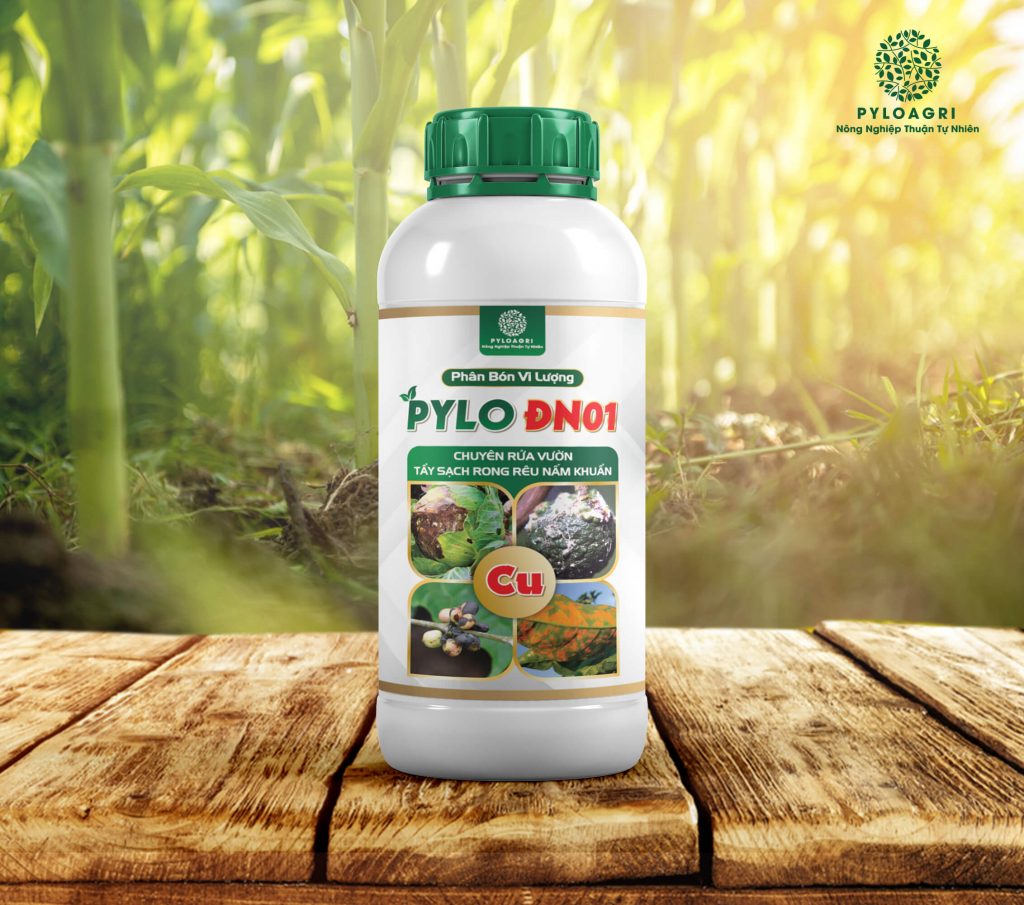 PyLo ĐN 01 – Chuyên Rửa Vườn, Tẩy Sạch Rong Rêu Nấm Khuẩn