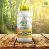 Phân Bón Lá NPK PyLo Nutri 01 – Đánh Thức Mầm Hoa, Ra Hoa Đồng Loạt