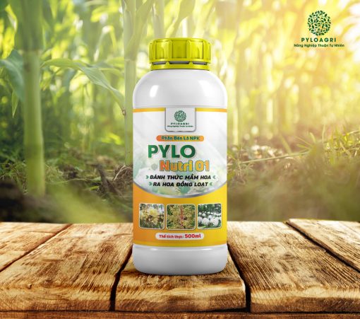 Phân Bón Lá NPK PyLo Nutri 01 – Đánh Thức Mầm Hoa, Ra Hoa Đồng Loạt