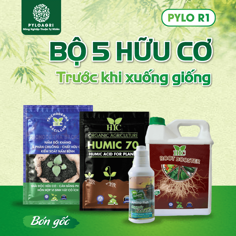 Sản phẩm bón gốc trong bộ 5 hữu cơ trước khi xuống giống PyLo R1