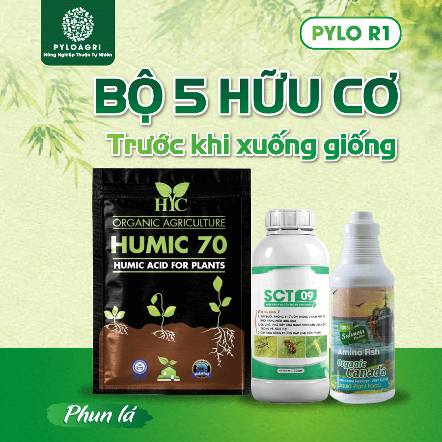 Sản phẩm phun lá trong bộ 5 hữu cơ trước khi xuống giống PyLo R1