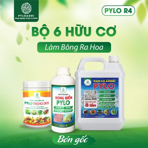 Bộ sản phẩm bón gốc