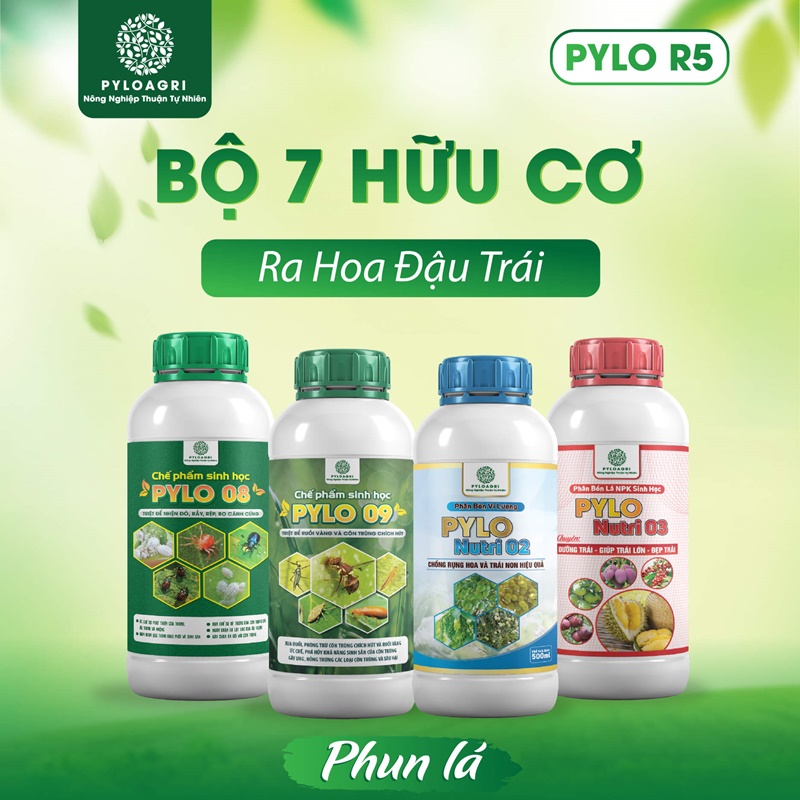 Sản phẩm phun lá trong bộ 7 hữu cơ ra hoa đậu trái PyLo R5
