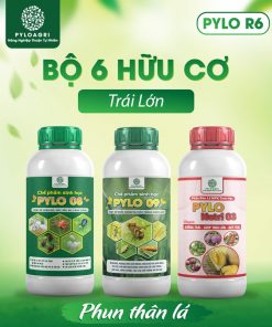 Sản phẩm bón lá trong bộ 6 hữu cơ trái lớn PyLo R6