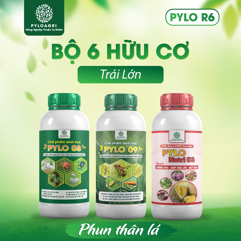 Sản phẩm bón lá trong bộ 6 hữu cơ trái lớn PyLo R6
