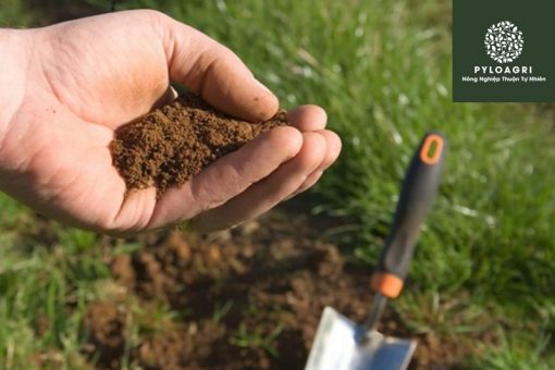 Cân bằng pH cho đất, giúp đất tơi xốp và màu mỡ hơn.