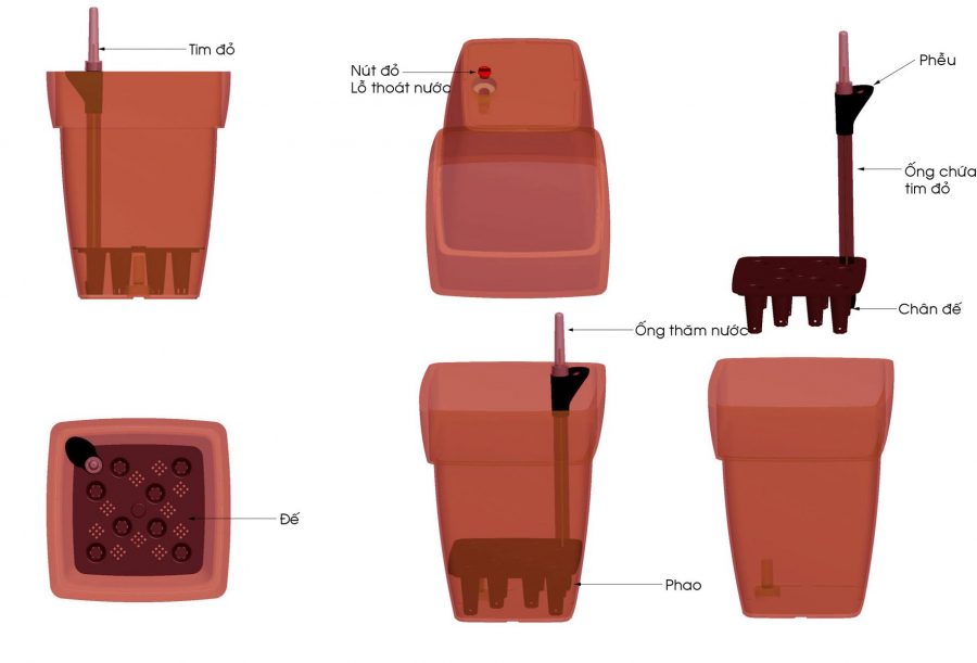 Trồng cây trầu bà bằng chậu tự tưới 