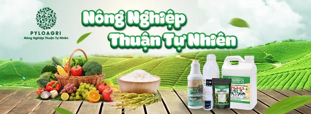 Nông nghiệp thuận tự nhiên được khởi nguồn từ 10 năm trước