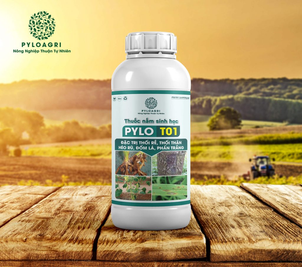 PyLo T01 – Thuốc Nấm Sinh Học Đặc Trị Thối Rễ, Thối Thân, Héo Rũ, Đốm Lá, Phấn Trắng