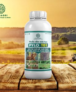 PyLo T01 – Thuốc Nấm Sinh Học Đặc Trị Thối Rễ, Thối Thân, Héo Rũ, Đốm Lá, Phấn Trắng