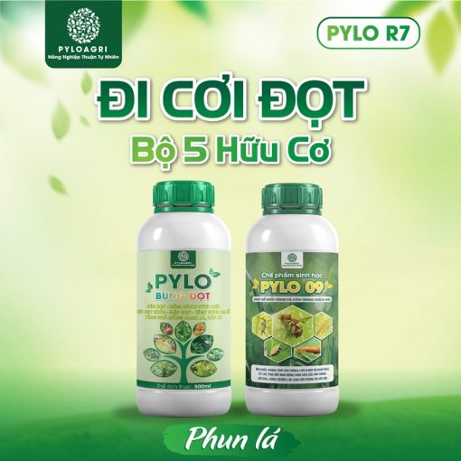 Đi Cơi Đọt: Bộ 5 Hữu Cơ PyLo R7