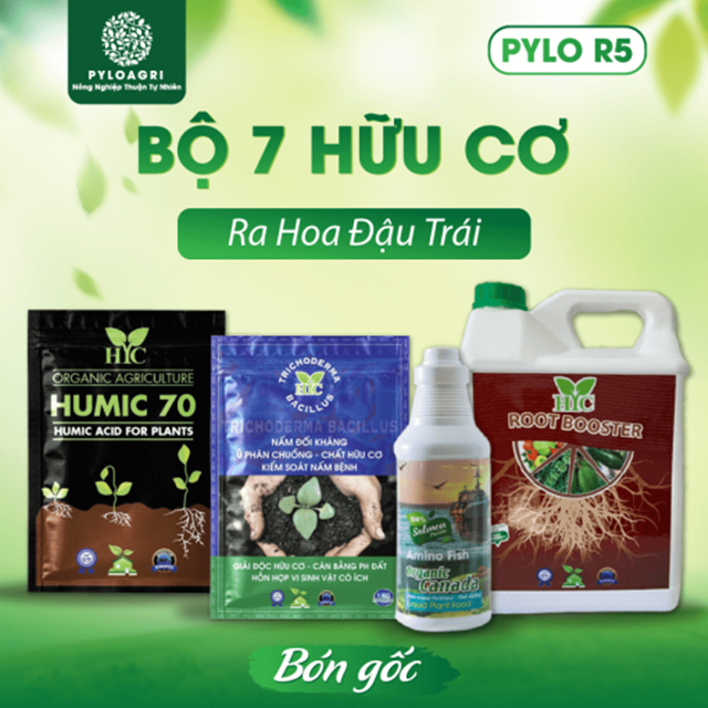 Phân bón hữu cơ đóng vai trò quan trọng trong canh tác bền vững