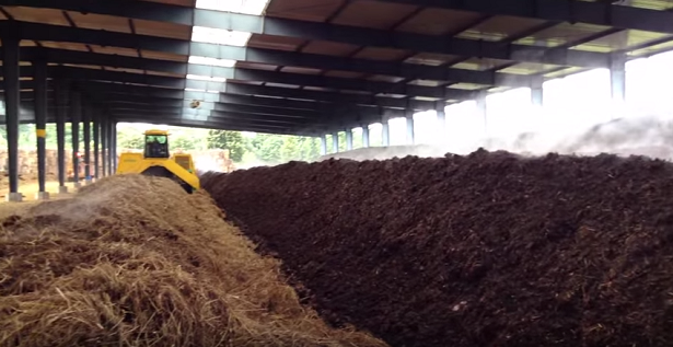 Tại sao phải ủ phân hữu cơ trước khi bón cho cây trồng?