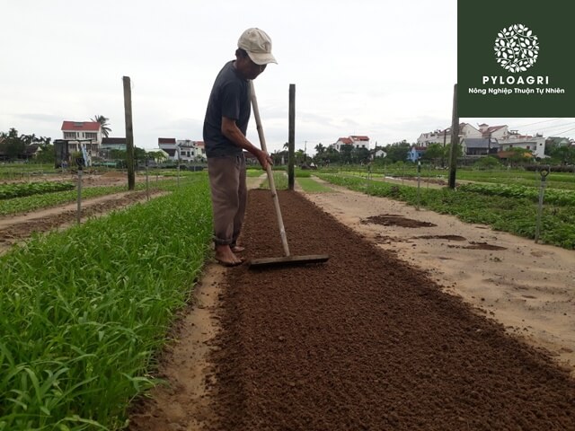 Cải tạo đất sau thu hoạch