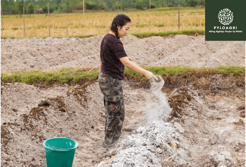 Bón vôi bột là phương pháp cải tạo đất phèn được áp dụng phổ biến