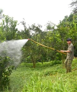 Sử dụng pha với nước hoặc trộn với các sản phẩm bảo vệ cây trồng khác