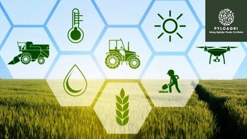 Vai trò của nông nghiệp xanh
