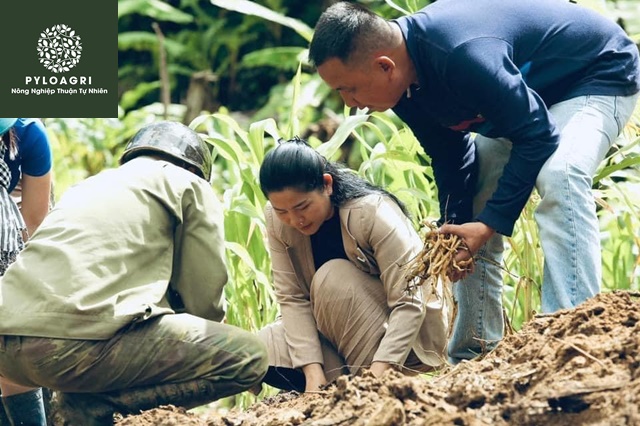 Ban lãnh đạo trực tiếp "ra trận"